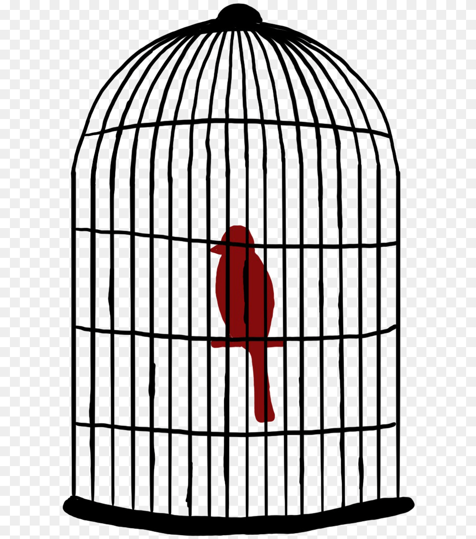 Caged Bird Images Bird In A Cage Outline, Gate, Adult, Female, Person Free Png Download