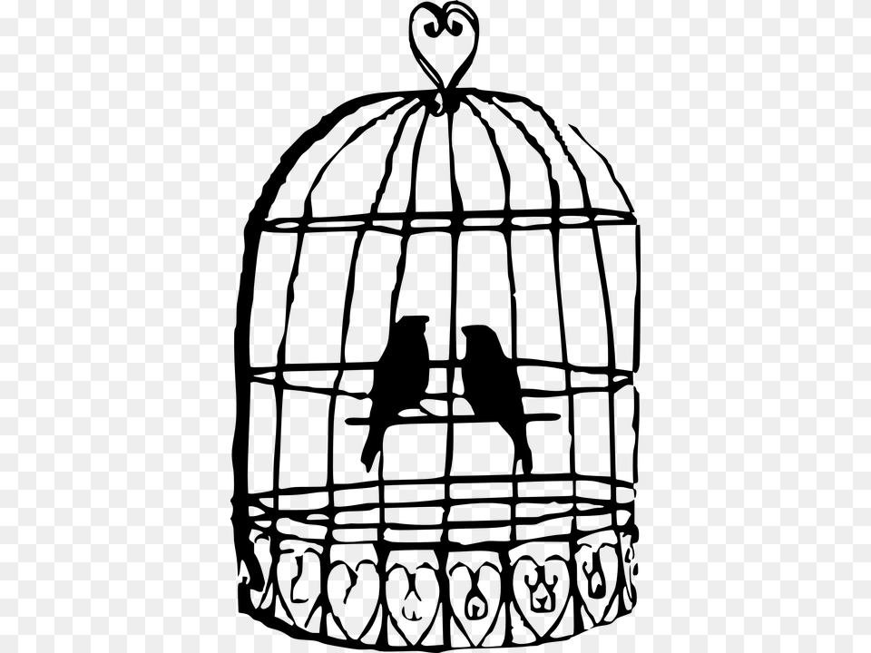 Caged Bird Picture Birdcage Drawing, Gray Free Png Download