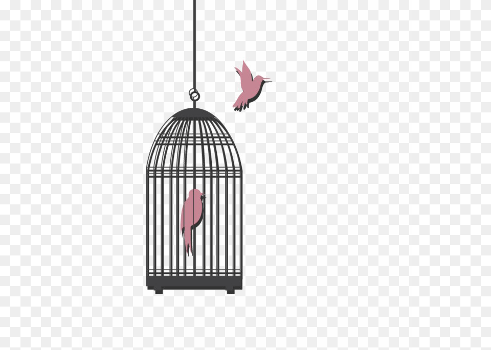 Caged Bird Picture Portable Network Graphics, Animal, Finch Free Png