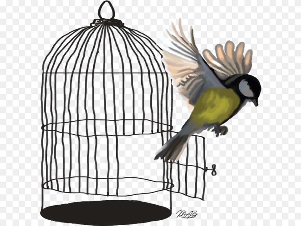 Caged Bird Transparent Background Bird Flying Out Of Cage Drawing, Animal, Finch Free Png Download