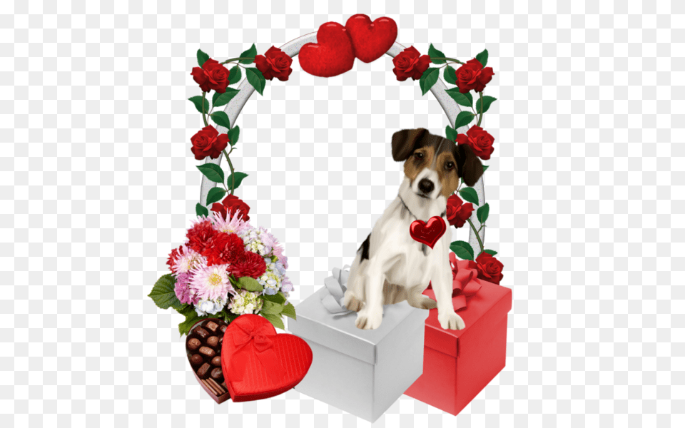 Caini Puppy Images Clip Art, Rose, Plant, Flower, Flower Arrangement Png Image