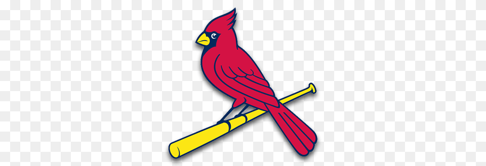 Cains Corner Mlb Power Rankings, Animal, Bird, Cardinal, Person Free Png