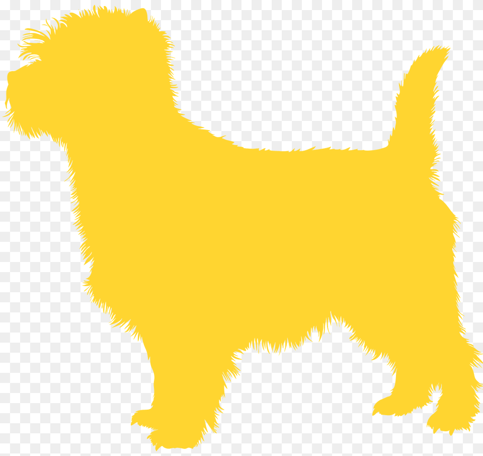 Cairn Terrier Silhouette, Animal, Canine, Mammal, Pet Free Png