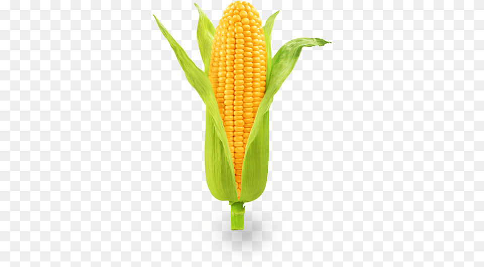 Caito Foods Pictures Of Vegetables, Corn, Food, Grain, Plant Free Transparent Png