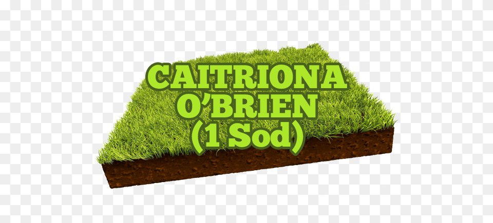 Caitriona O Brien Opening Soon Banner, Grass, Moss, Plant, Soil Free Png Download