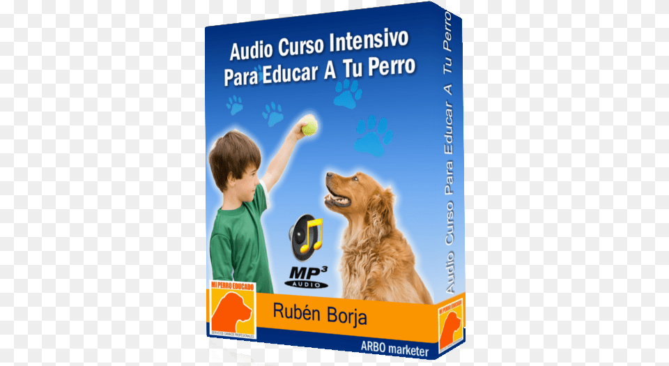 Caja Audio Curso Para Adiestrar A Tu Perro 1 Cursos Para Perros, Tennis Ball, Ball, Tennis, Sport Png