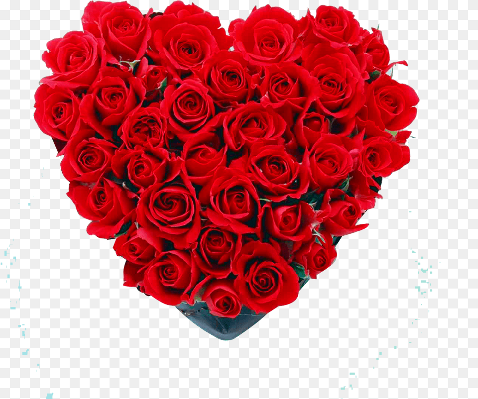 Caja Corazn Con Rosas Red Rose, Flower, Flower Arrangement, Flower Bouquet, Plant Png Image