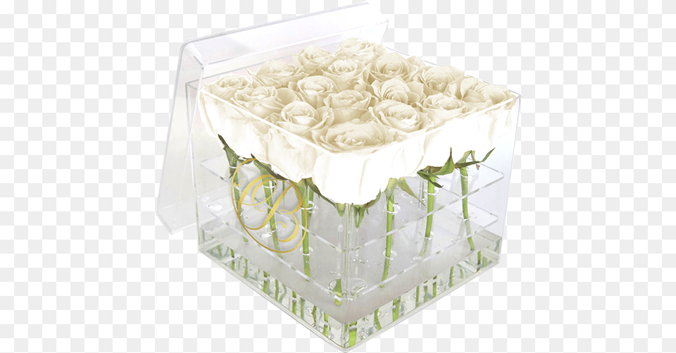 Caja De Acrlico Rosas Blancas Caja Acrilica Con Rosas, Rose, Pottery, Plant, Jar Free Transparent Png