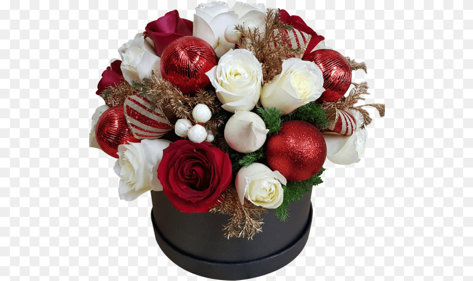 Caja De Rosas Y Esferas Garden Roses, Flower, Flower Arrangement, Flower Bouquet, Plant Png Image