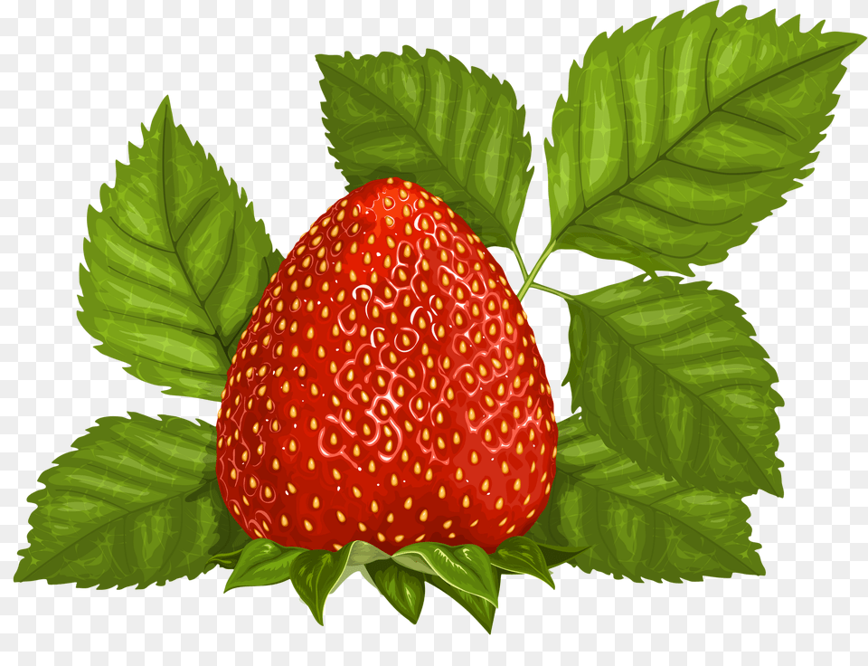 Cajoline Vi Fraises Cu Fruit, Berry, Food, Plant, Produce Free Png Download