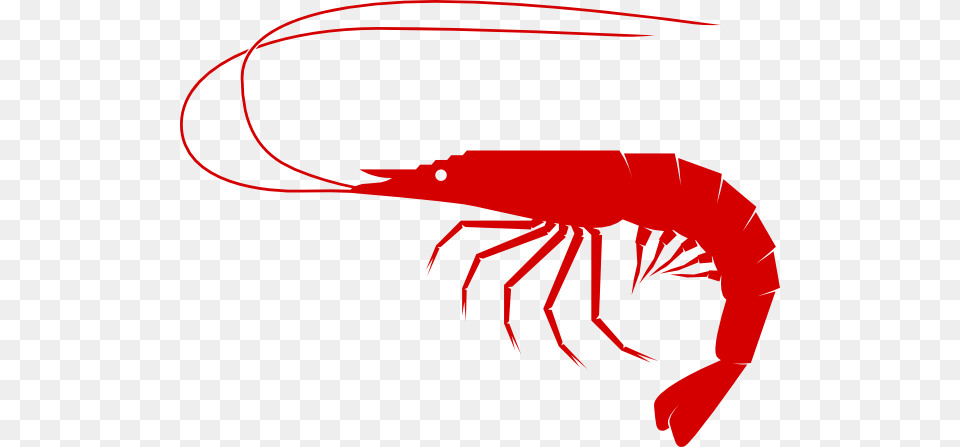 Cajun Shrimp Boil Clipart, Food, Seafood, Animal, Sea Life Free Transparent Png