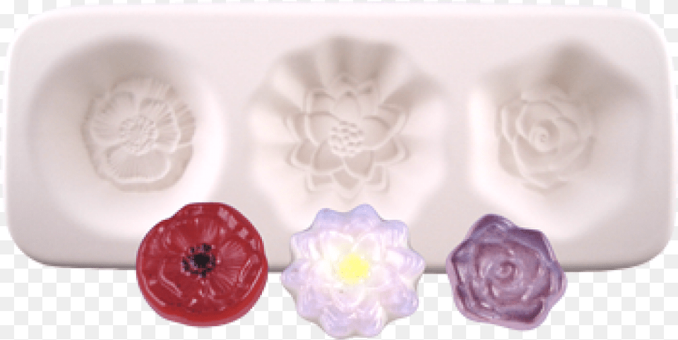 Cake Decorating, Food, Meal, Ice, Plant Free Png Download