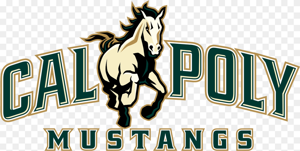 Cal Logos Logo Cal Poly San Luis Obispo, Animal, Colt Horse, Horse, Mammal Free Transparent Png