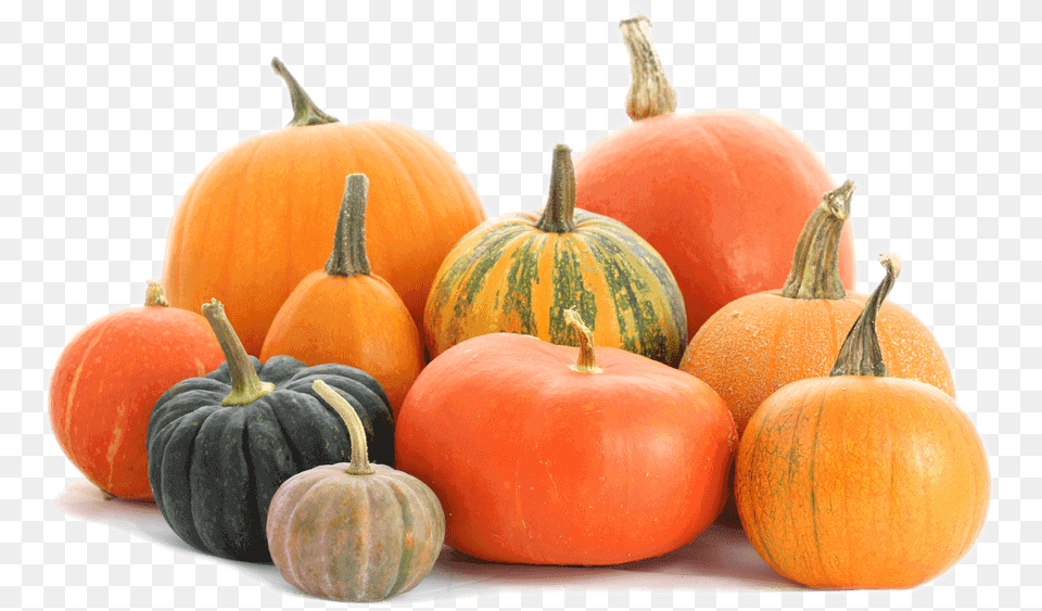 Calabash Pumpkins, Food, Plant, Produce, Pumpkin Png