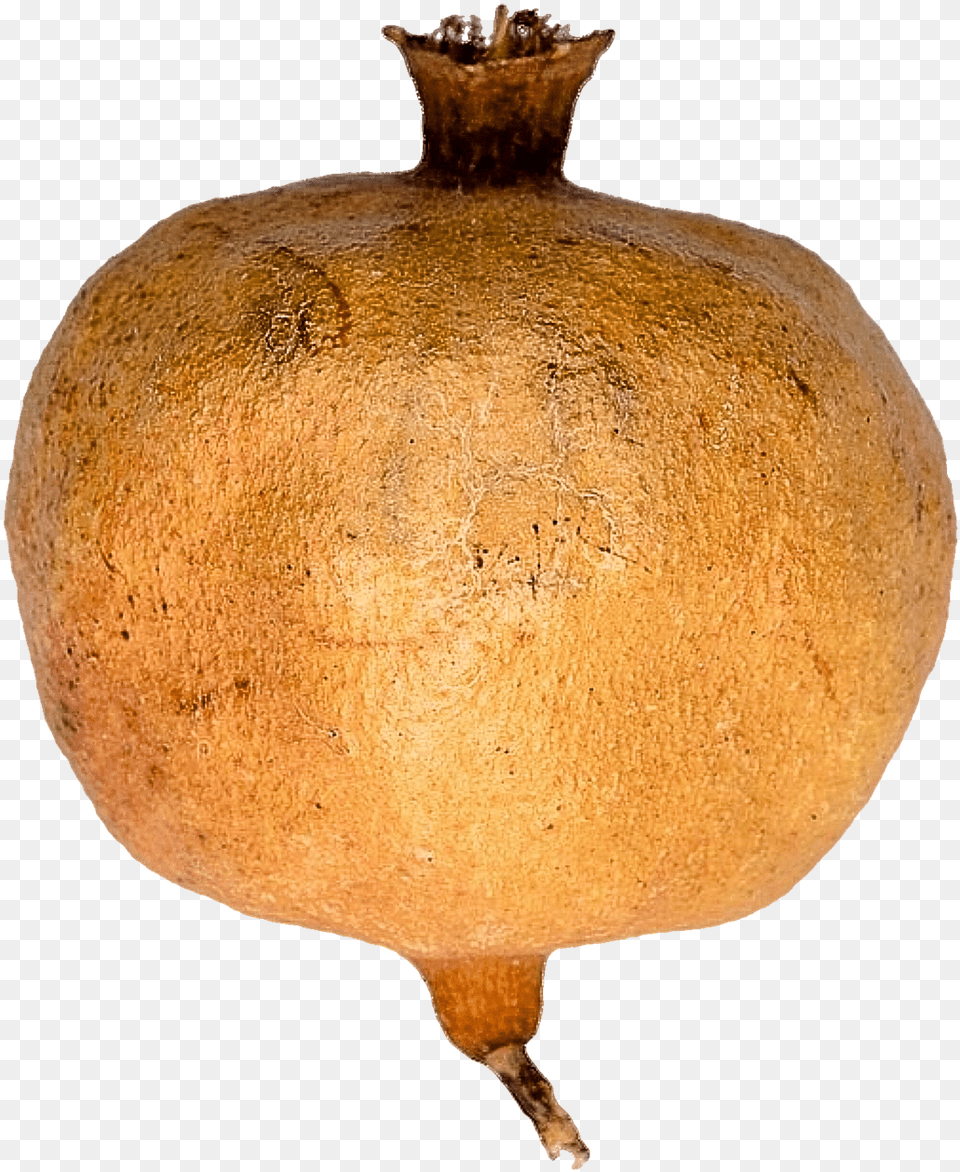 Calabaza, Food, Fruit, Plant, Produce Free Png Download