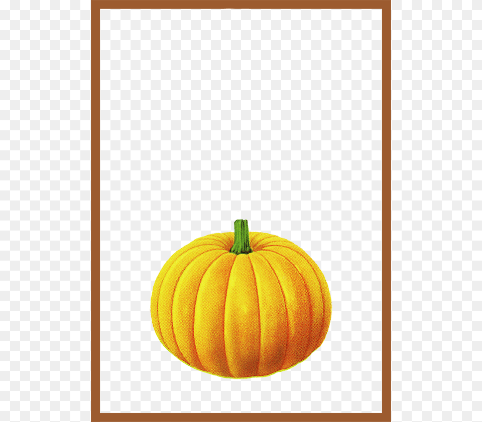 Calabaza Brown Simple Frame Texture Transprent Free Clip Art, Food, Plant, Produce, Pumpkin Png