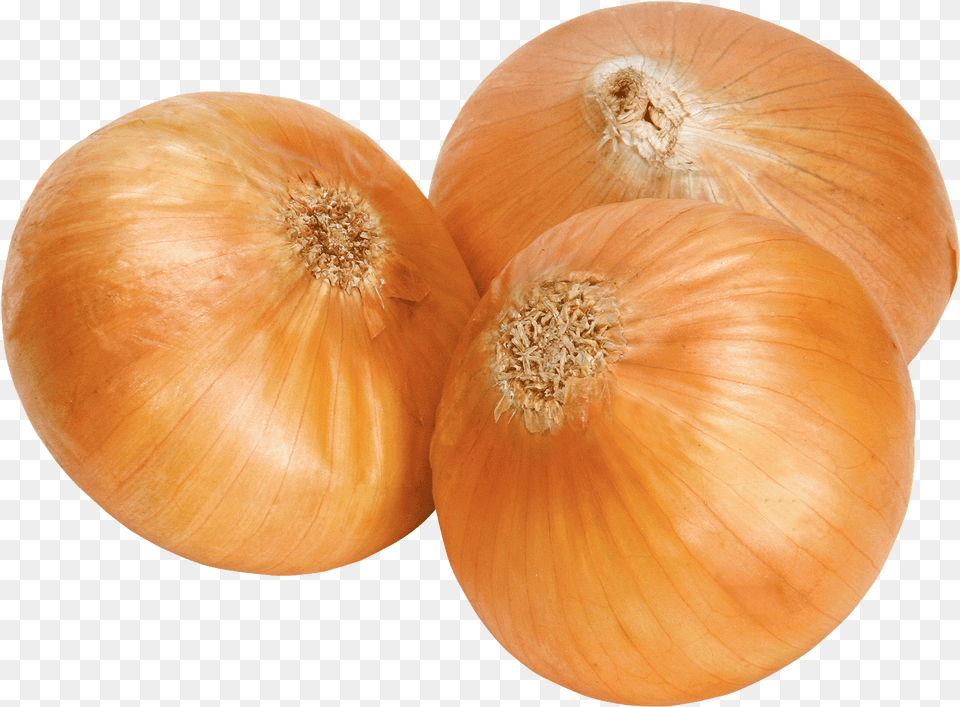 Calabaza White Onion Clip Art Onion, Food, Produce, Plant, Vegetable Png