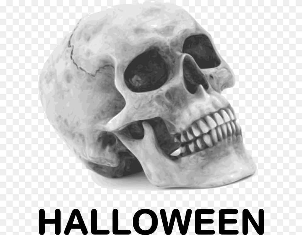Calavera Human Skull Symbolism Halloween Drawing Skull Public Domain, Art, Head, Person Free Transparent Png