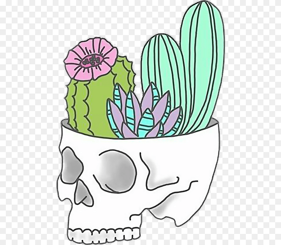 Calaveras Imagenes Tumblr, Plant, Potted Plant Free Png