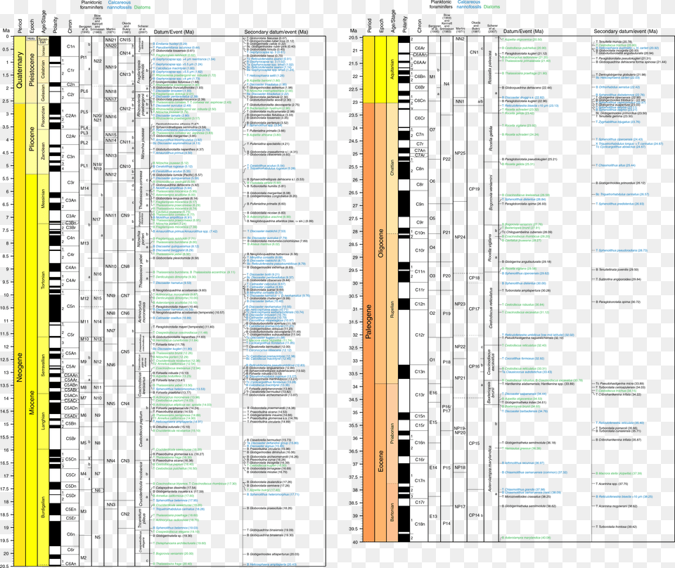 Calcareous Nannofossil Diatom And Planktonic Foraminiferal Document Free Png