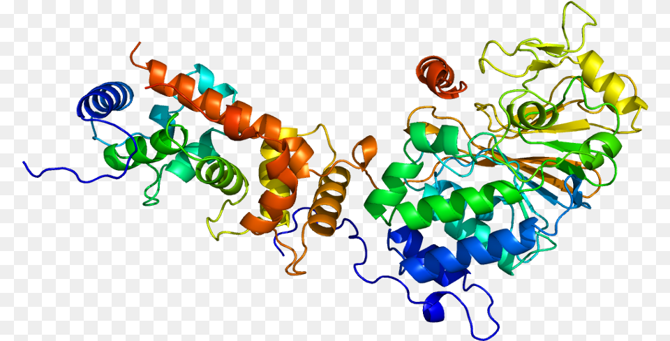 Calcineurin Crystal Structure, Art, Graphics, Lighting, Light Png