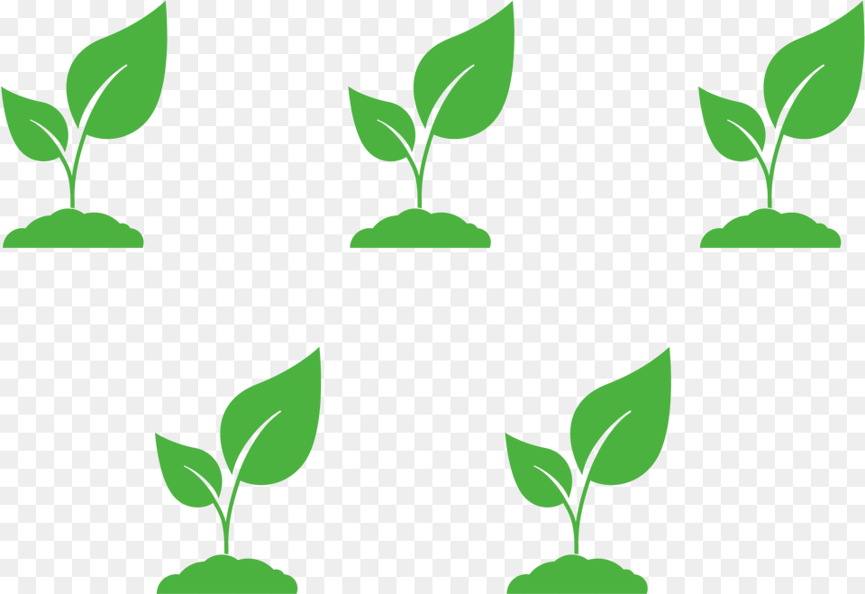 Calculate The Number Of Plants To Fill A Landscape, Green, Leaf, Plant Free Png