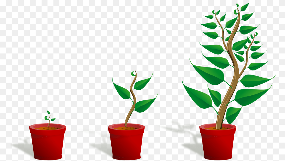 Calculator Clip Art, Leaf, Plant, Potted Plant, Tree Free Png Download