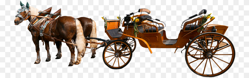 Caleche, Carriage, Vehicle, Transportation, Animal Png Image