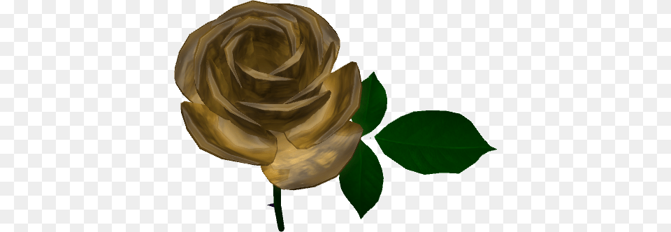 Caledon Rose Hunt Scoreboard, Flower, Leaf, Plant Free Transparent Png