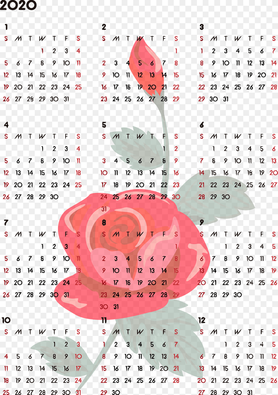 Calendar 2020 Circle, Text, Flower, Plant, Rose Png Image