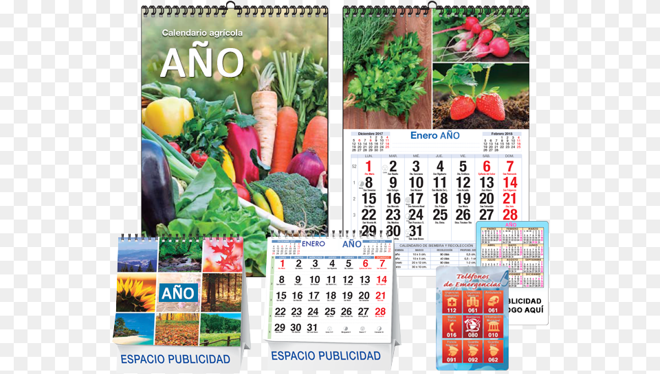 Calendarios Personalizados Calendario 2018 De Empresas, Text, Plant Free Png Download