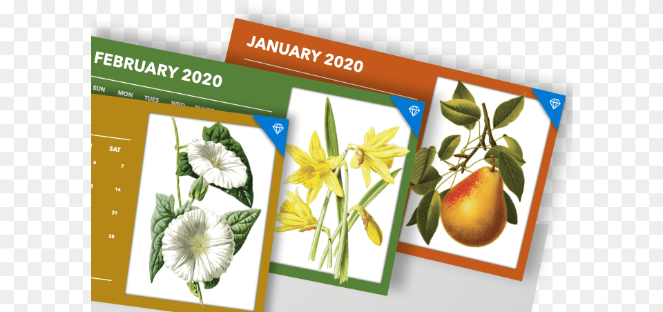Calendars Passion Flower, Food, Fruit, Plant, Produce Free Png