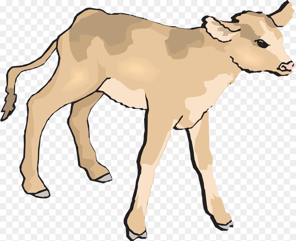 Calf Clipart, Animal, Cattle, Cow, Livestock Png Image