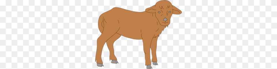 Calf Images Icon Cliparts, Livestock, Animal, Mammal, Person Free Png Download
