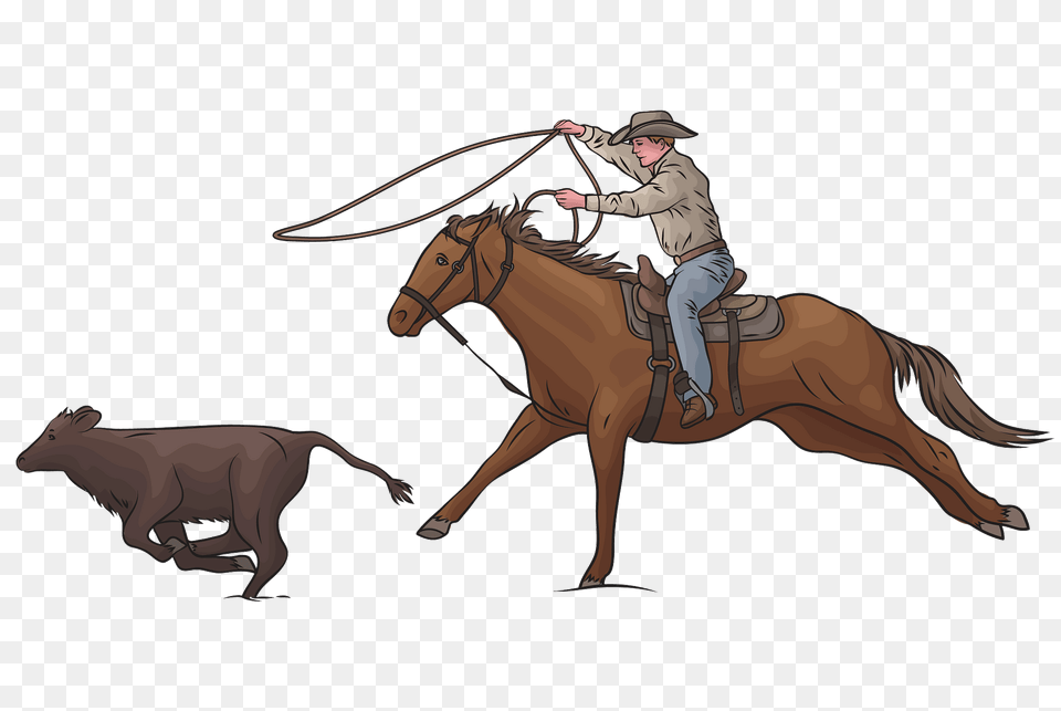 Calf Roping Rodeo Clipart, Person, Animal, Horse, Mammal Free Png Download