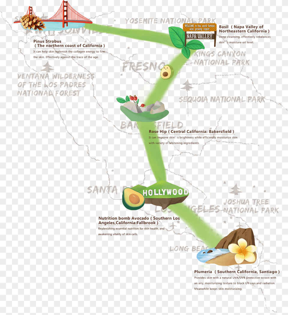 Calibio Extraction Of The Natural Essence Of California Map, Advertisement, Poster, Plant, Vegetation Png Image