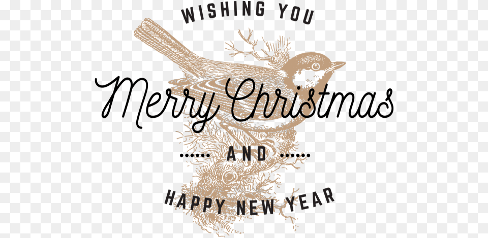 Calibre Apparel Merry Christmas U0026 Happy New Year Milled Calligraphy, Animal, Bird, Sparrow, Person Png