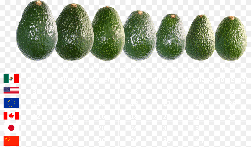 Calibres Avocado, Food, Fruit, Plant, Produce Png Image