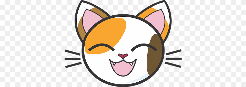 Calico Cat Disk Png Image