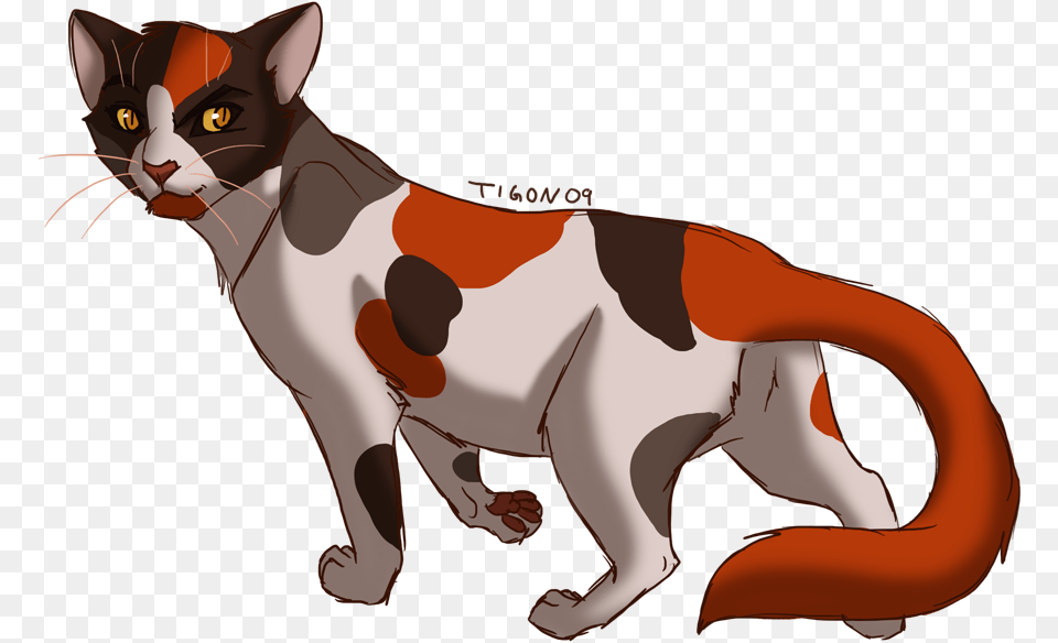 Calico Cat Clipart Red And Black Warrior Cat, Animal, Mammal, Pet, Baby Png