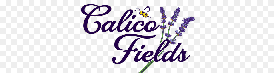 Calico Fields, Art, Purple, Graphics, Crowd Free Png