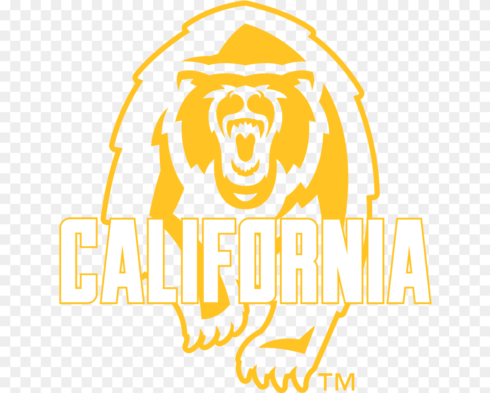 California Bear, Adult, Person, Man, Male Free Png Download
