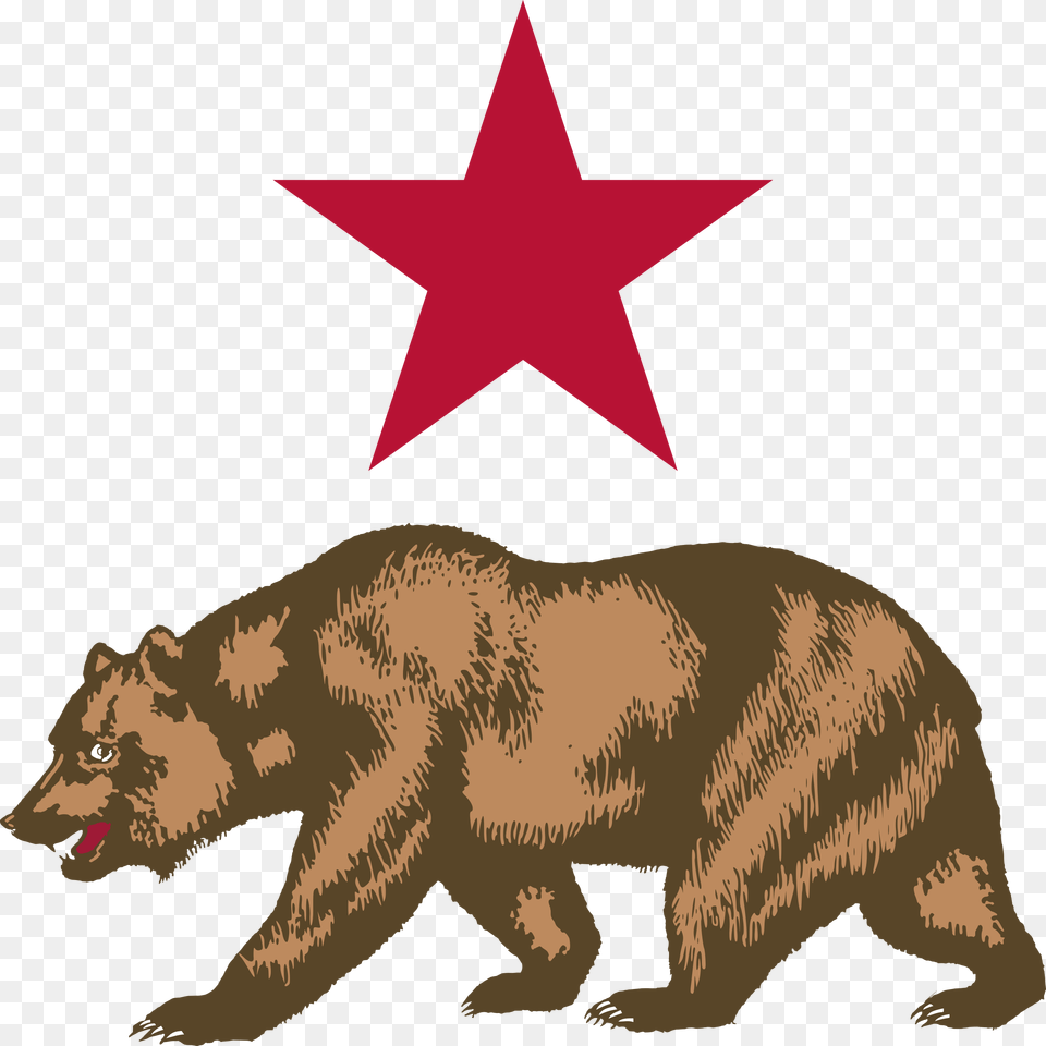 California Bear 6 Image New California Republic Flag, Animal, Lion, Mammal, Wildlife Free Png