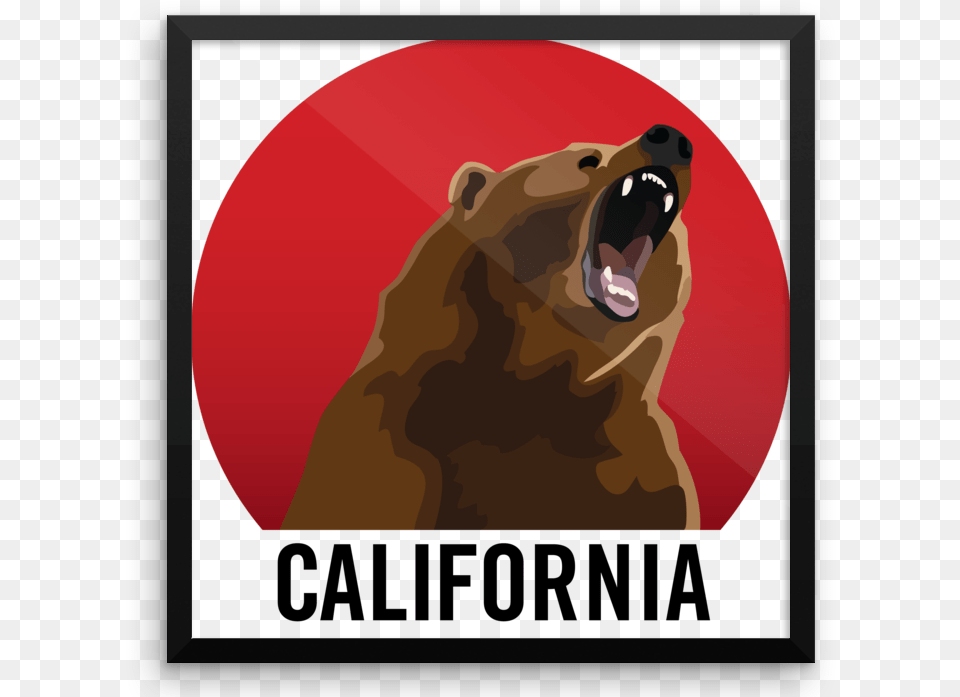 California Bear Postcard Download, Animal, Mammal, Wildlife, Brown Bear Free Transparent Png