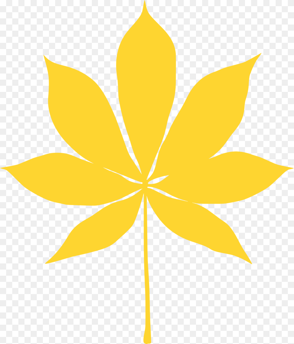 California Buckeye Leaf Silhouette, Plant, Animal, Fish, Sea Life Png