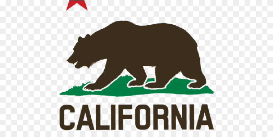 California Clipart Bear California State Flag Clipart, Animal, Mammal, Wildlife, Brown Bear Png Image