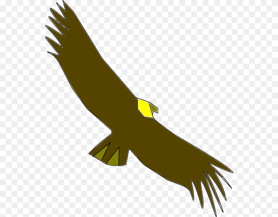 California Condor Bird Computer Icons Vulture, Animal, Flying, Eagle, Fish Free Png Download