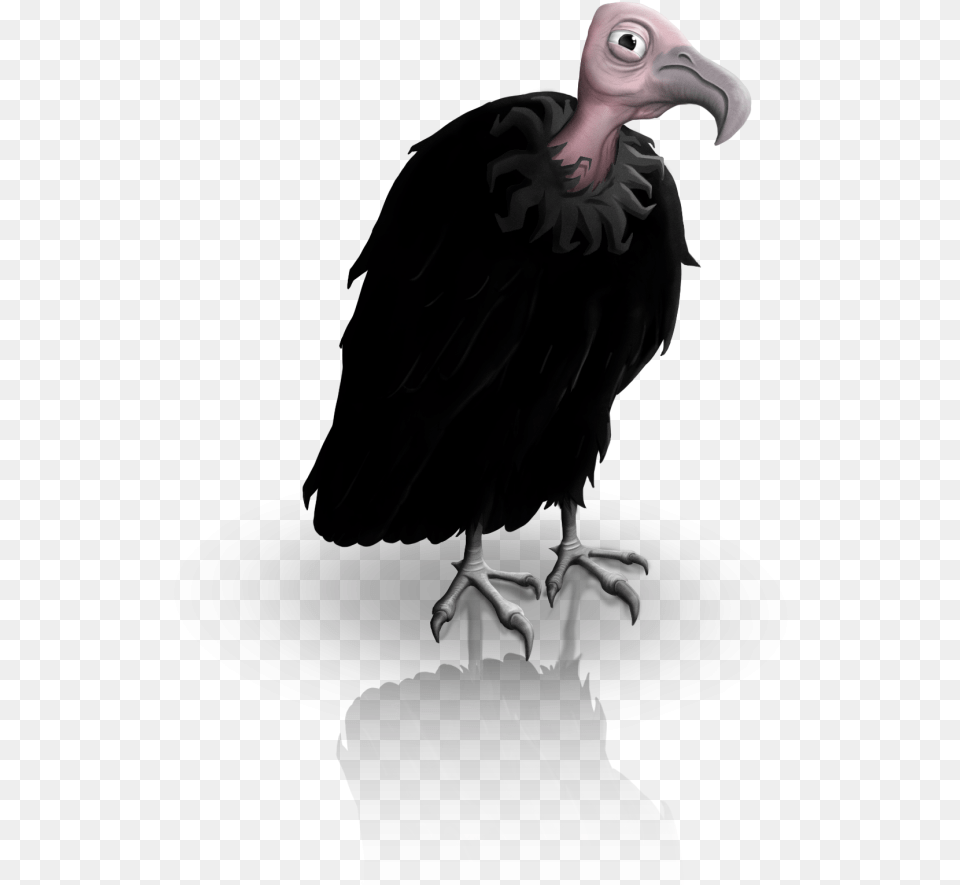 California Condor Survival Character, Animal, Bird, Vulture, Adult Png Image