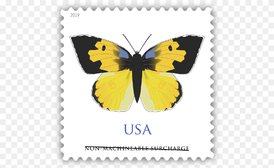 California Dogface Butterfly Stamp, Postage Stamp, Animal, Insect, Invertebrate Free Png