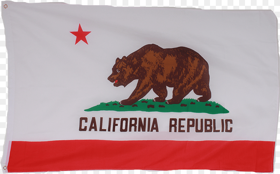 California Flag, Animal, Bear, Mammal, Wildlife Free Png